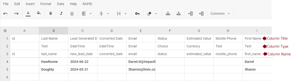 Example data in the generated table with two rows